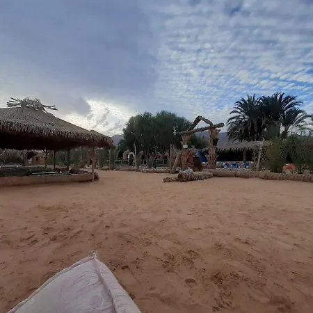 مبيت وإفطار Sababa Beach Camp